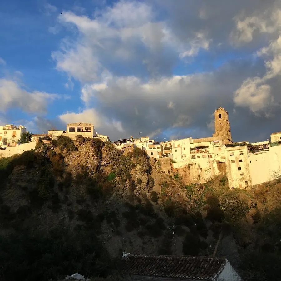 Penthouse Alora Apartment