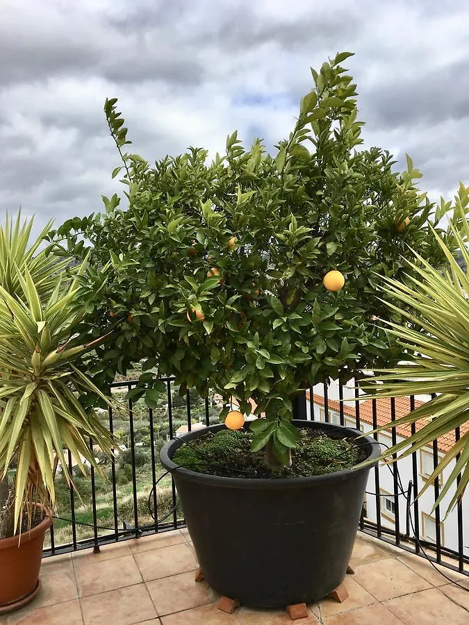 Penthouse Alora Apartment Spain